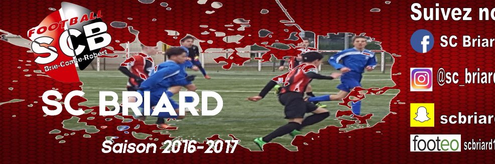 scbriard's profile banner image