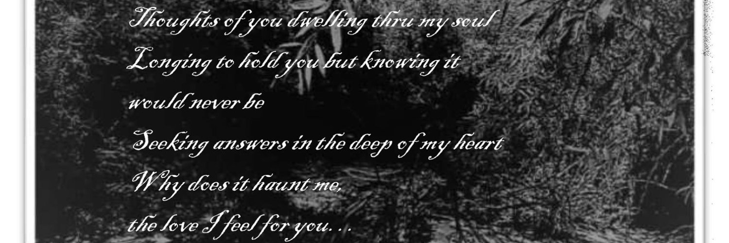 》《Willie@lias de Stille》《 banner