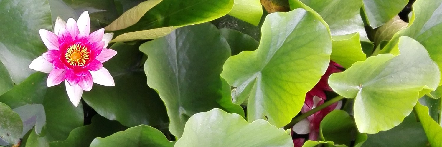 sawicka_e's profile banner image