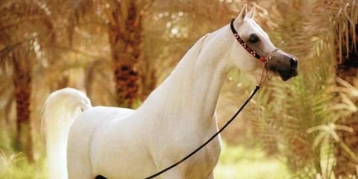 b2_hotmail's profile banner image