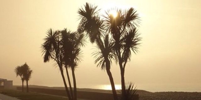 Will_iamH's profile banner image