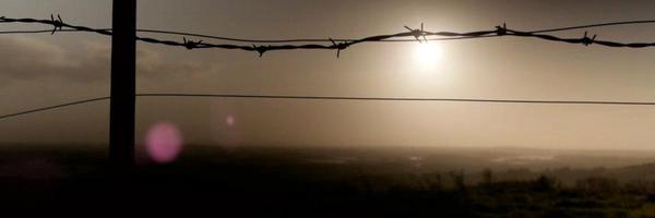 _justcallmefoxy Profile Banner