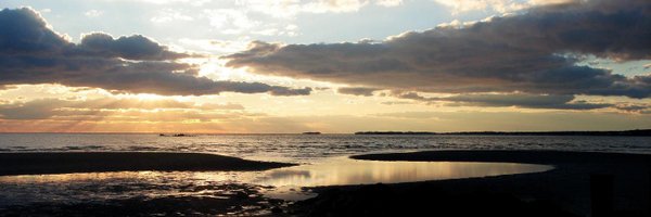 NicoleRonchetti Profile Banner