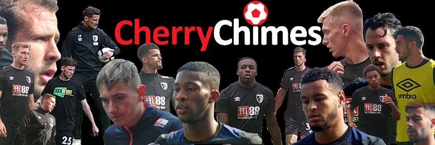 CherryChimes's profile banner image