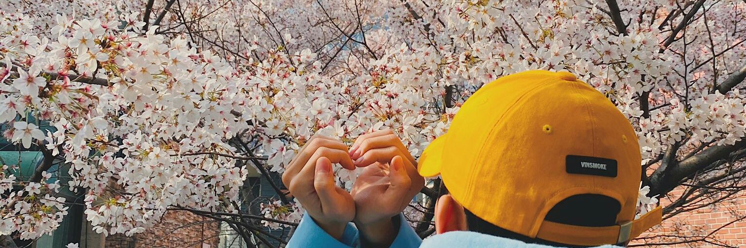 limadalia's profile banner image