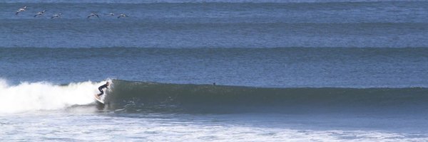 TheRealNedT Profile Banner