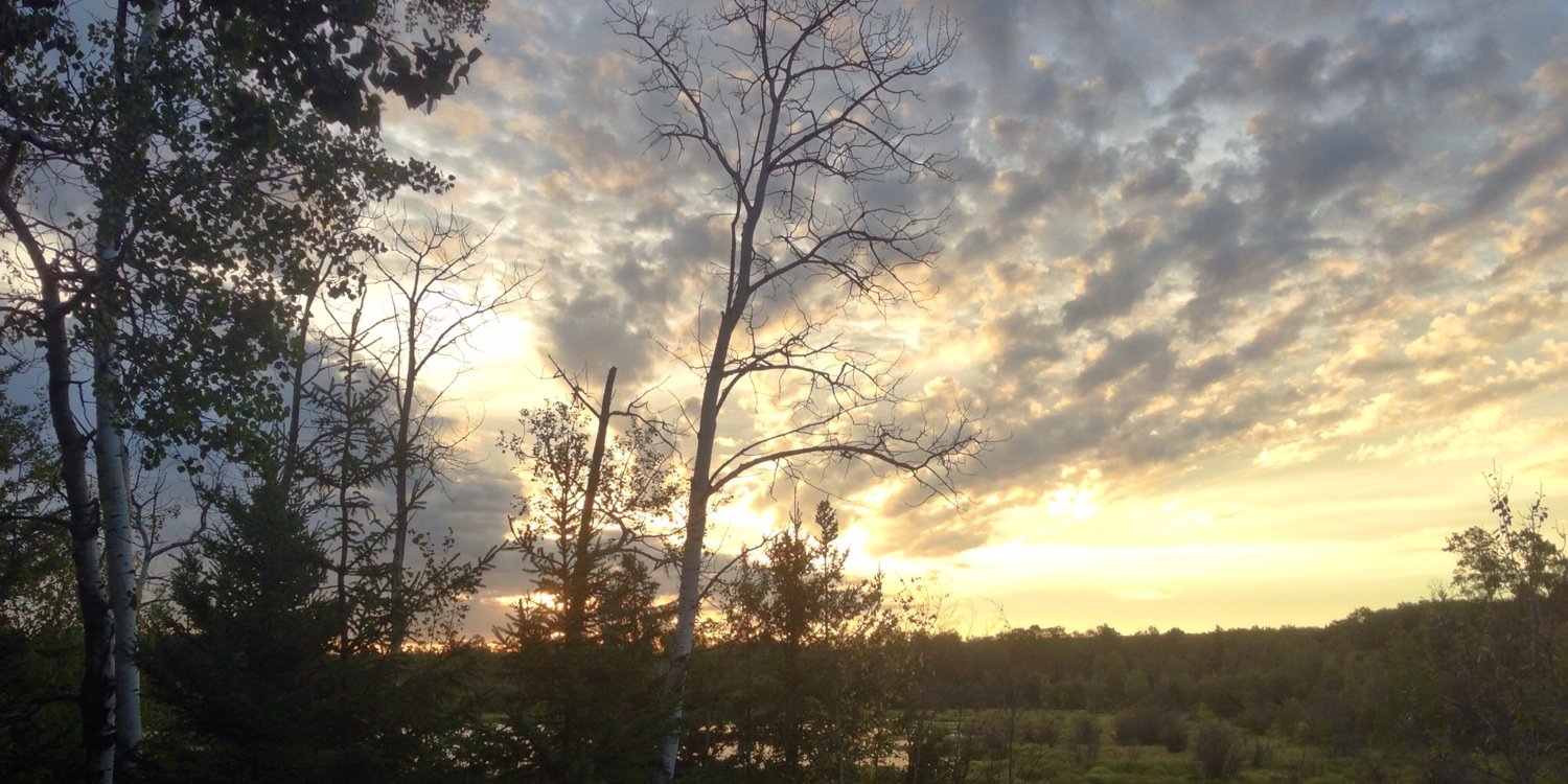 BrennanField's profile banner image