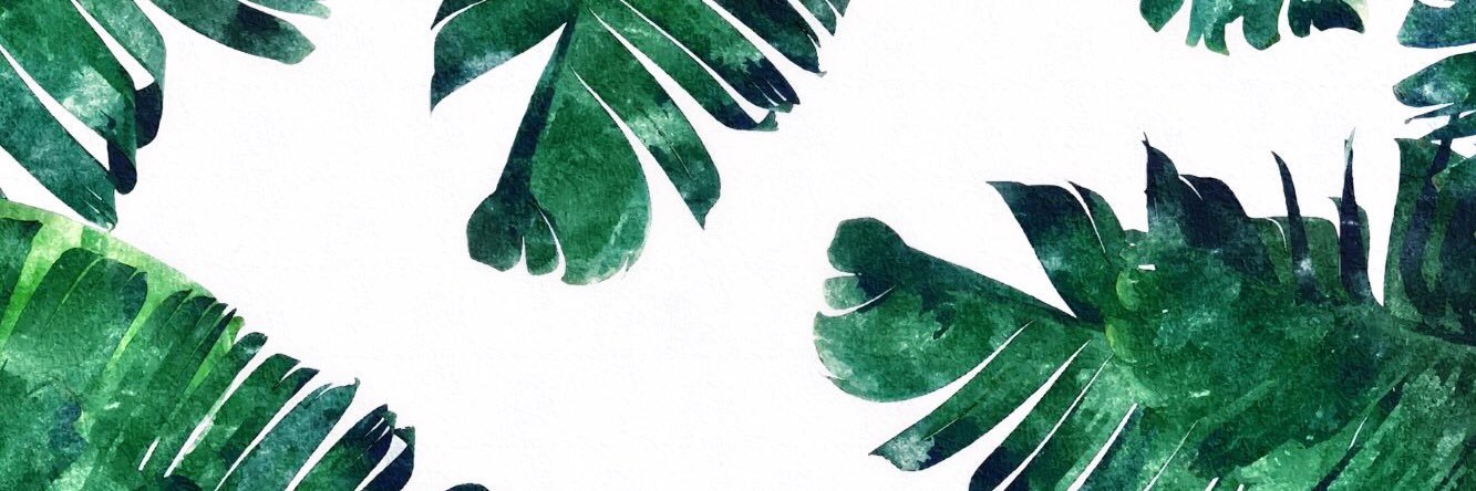 jyoung211's profile banner image