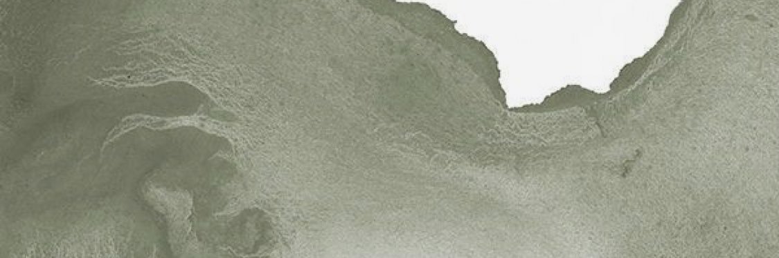 _cydneynunn_'s profile banner image