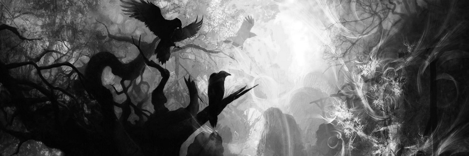 ɹɐǝqızɐɟ profile banner