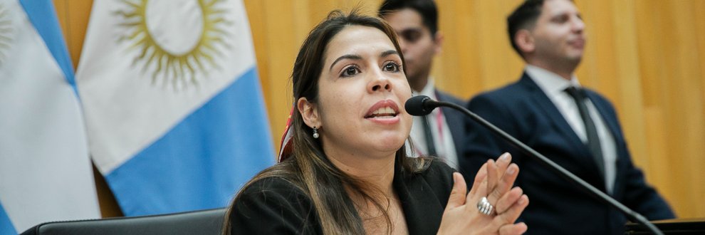 Cami Passerini banner