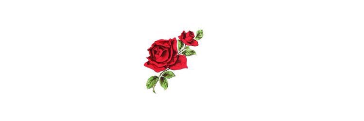 iamPalomac's profile banner image