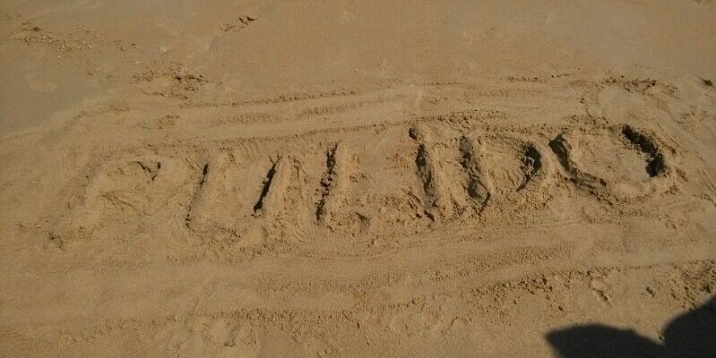 mariaspulido's profile banner image