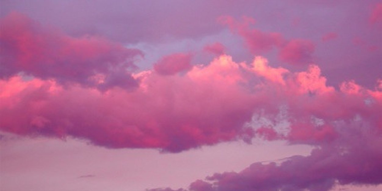 bri_palm's profile banner image