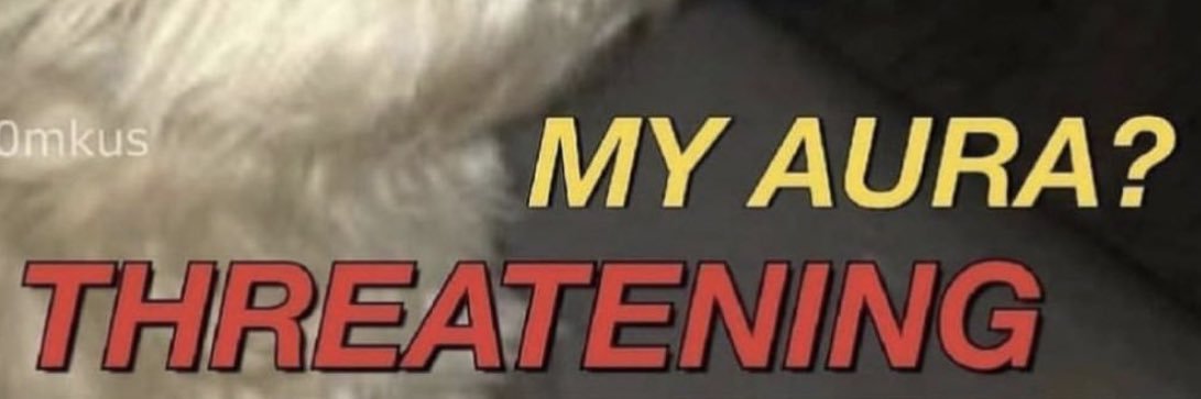 notsibbio's profile banner image