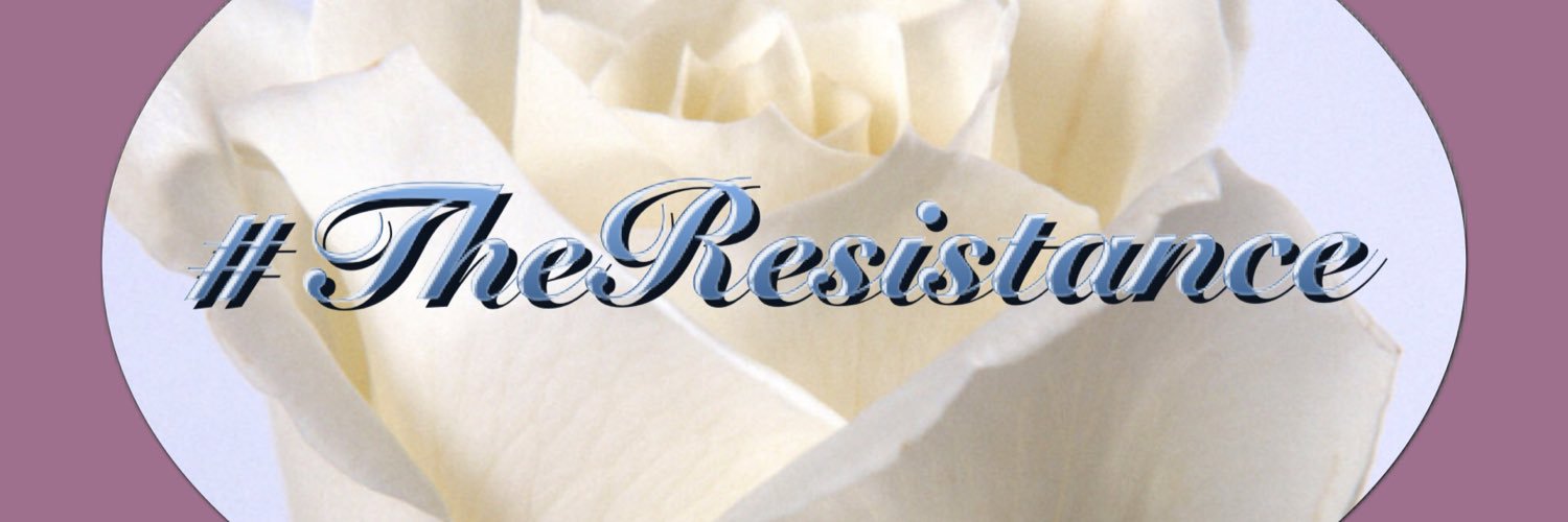 ResisterDot's profile banner image