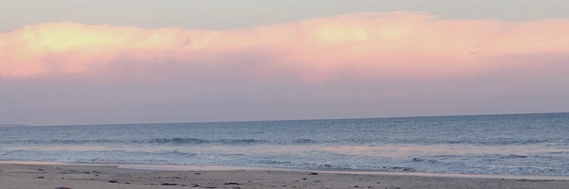 meghyvee's profile banner image