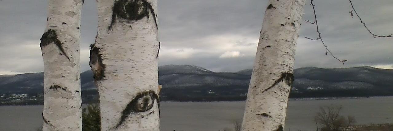 hbnewburgh's profile banner image