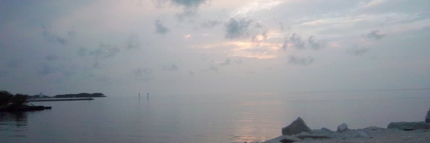 with_the_H's profile banner image