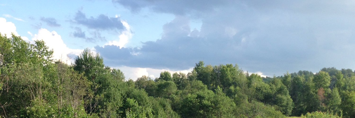 Roxanne Hotte banner