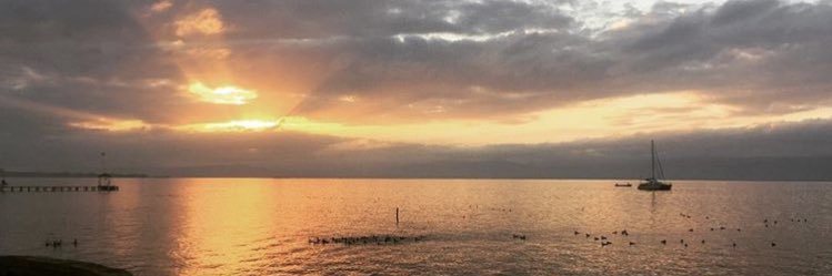 Josecoro's profile banner image