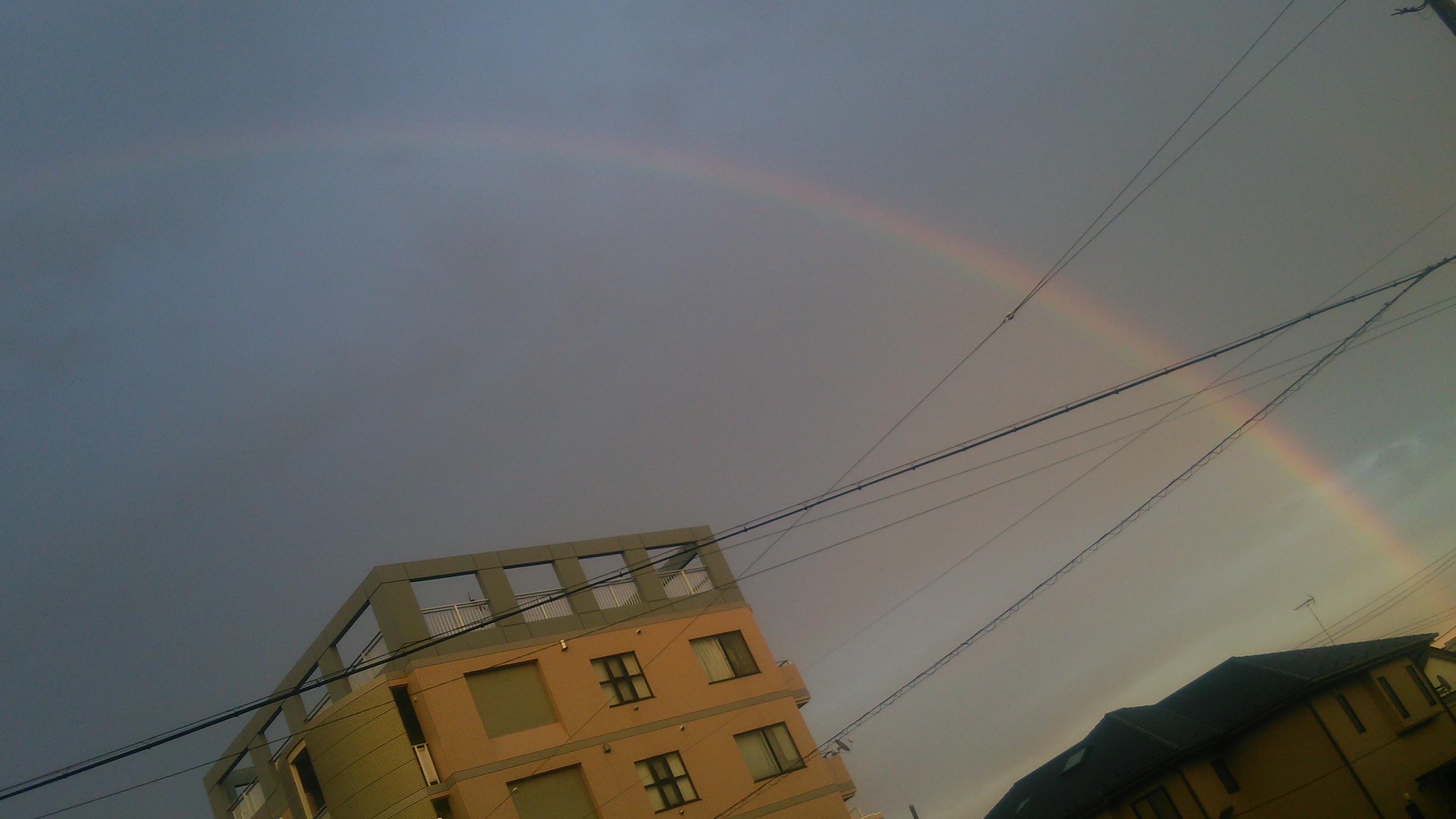 みどりん🌞🎤🌝 banner