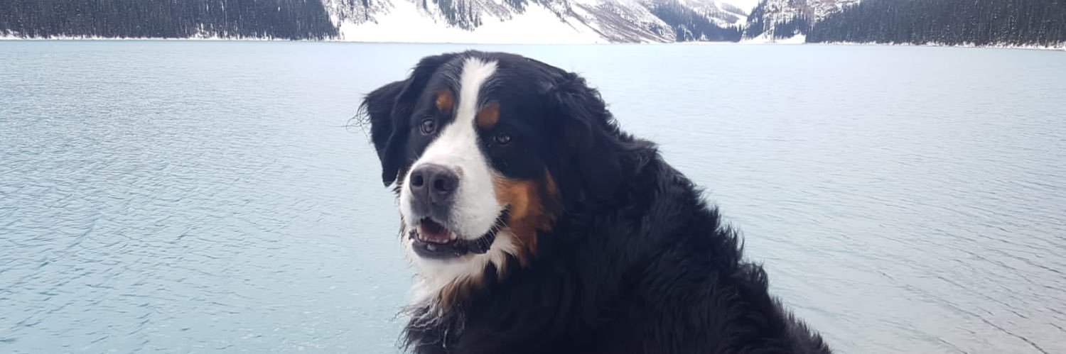 Marnie Ballane banner