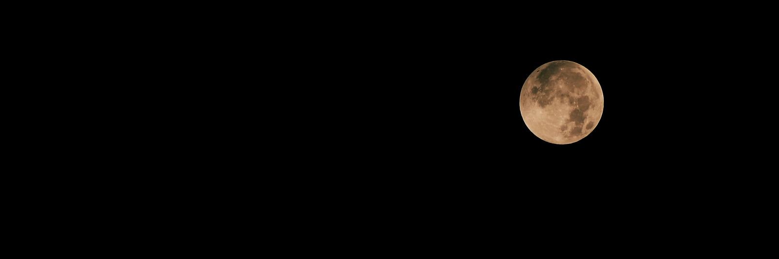 juliusbasuki's profile banner image