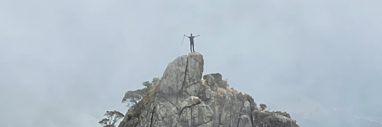 Felipe Argento 🐝🐧 banner