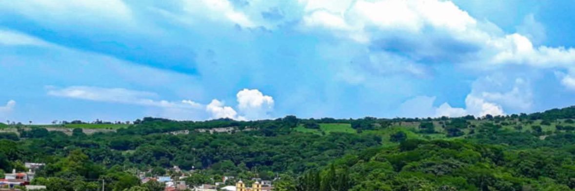 Lin_beinfong's profile banner image