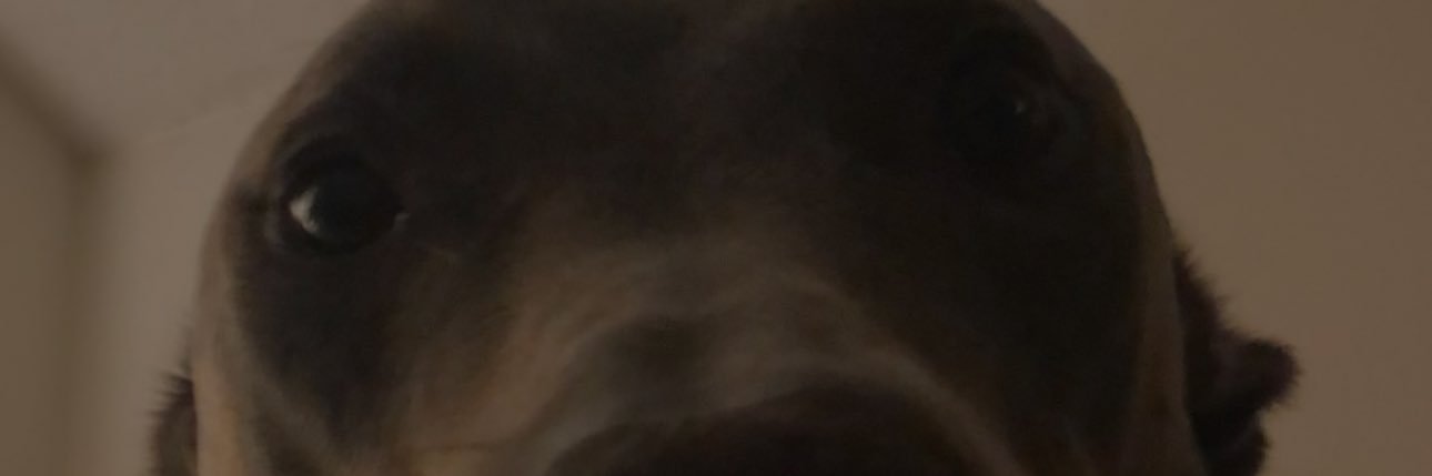 genocidv's profile banner image