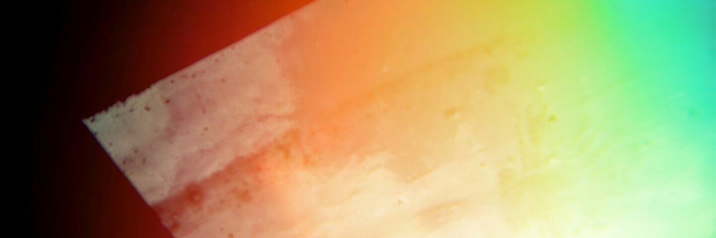 yestarii's profile banner image