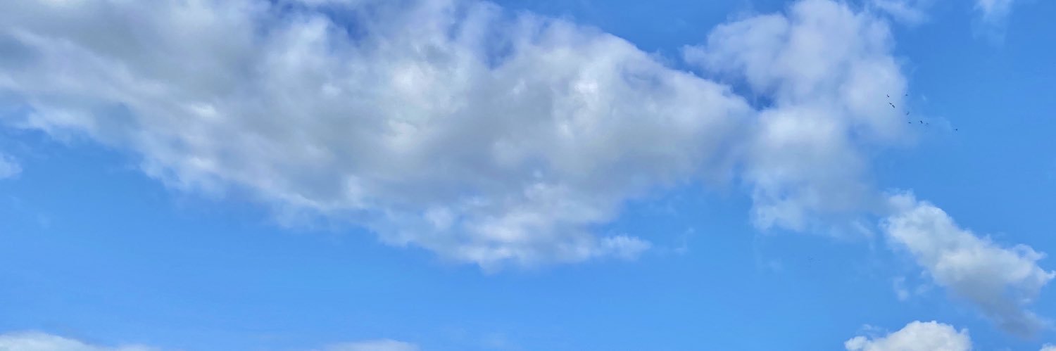 Steven Ward banner