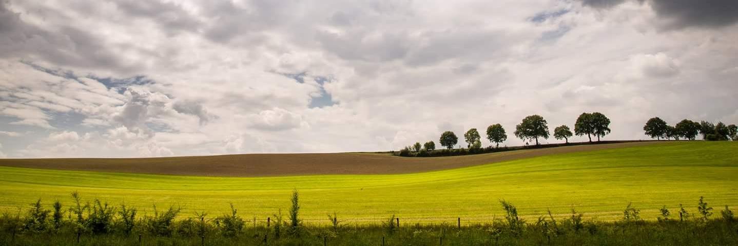 ferpreu's profile banner image
