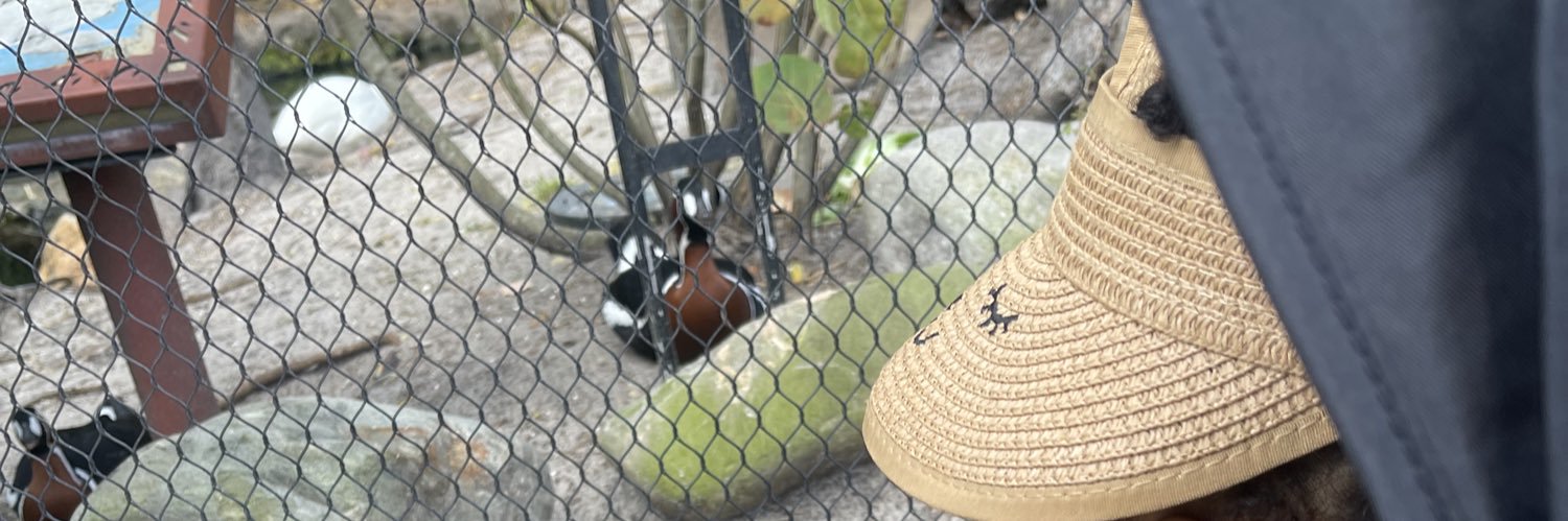 Tyheim Monroe banner