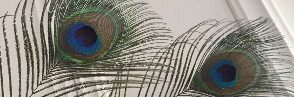 DDreps's profile banner image