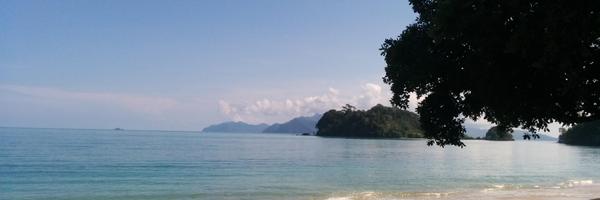 juliathibaud Profile Banner