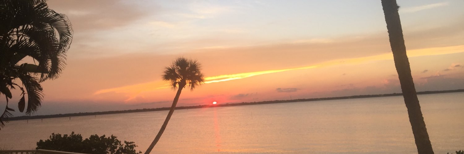 Amyteachinfl's profile banner image