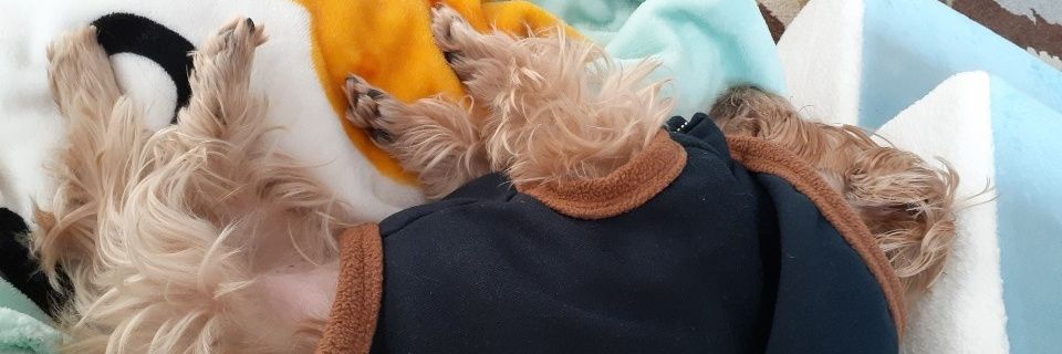 jIelyme's profile banner image