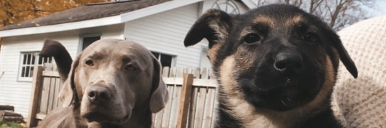 MerrittMadison's profile banner image