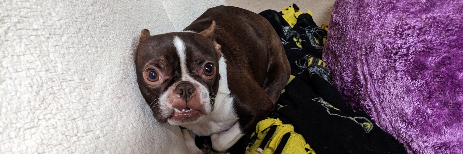 mattwhosthat's profile banner image