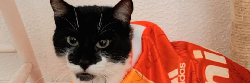 CarlaLSimi's profile banner image