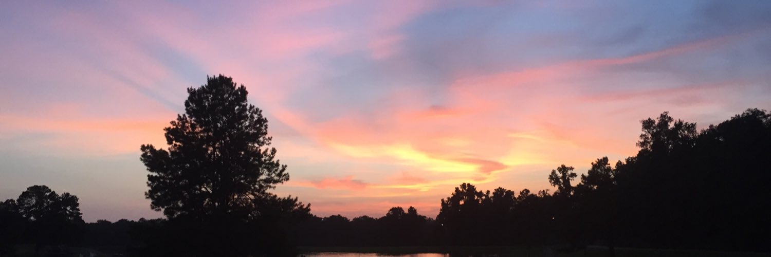 ambertoria95's profile banner image