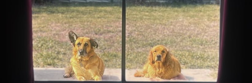 maddcitybrown's profile banner image