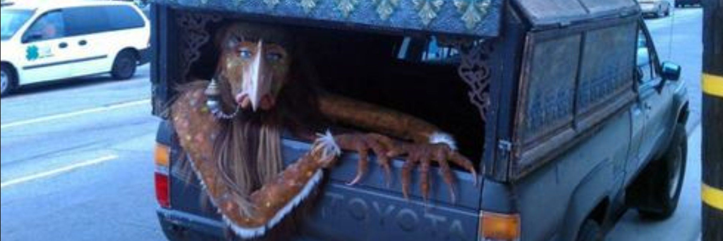 taqwadyke's profile banner image
