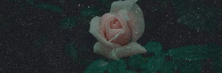 cxttsy's profile banner image