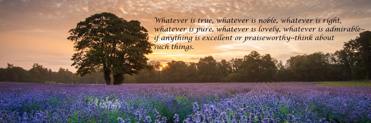 Eric Falkenstein banner