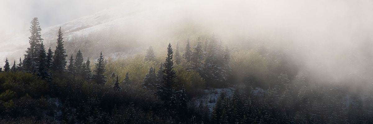 Jenaya Launstein banner