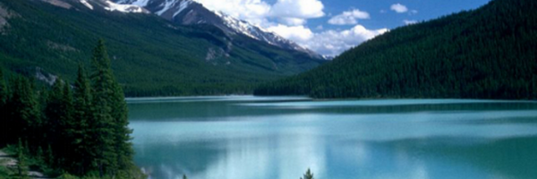 Twittcanada Profile Banner