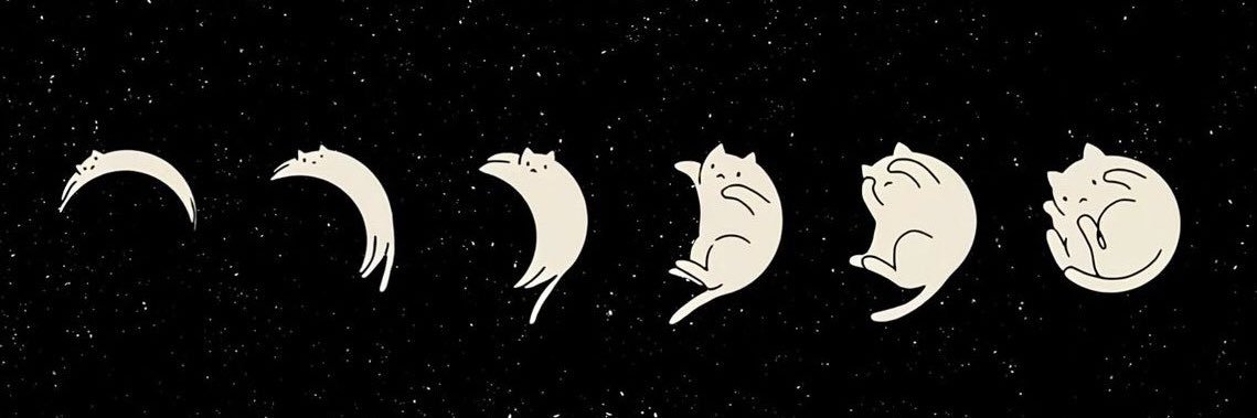 pancitos's profile banner image